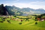 Lauerzersee