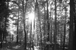 Autunno
