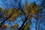 Autunno